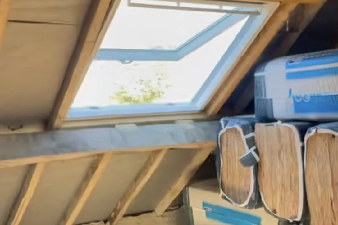 Velux & fenêtres de toit